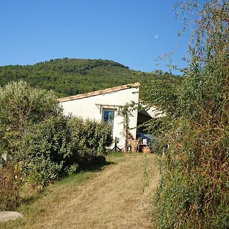 Maison De Campagne L'Etang Seillans Kültér fotó